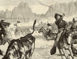 "Driving Cattle into a Corral, Nebraska", 1875