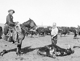 Ephraim Swain Finch branding cattle on the Milldale Ranch near Arnold, Custer County, Nebraska, circa 1900