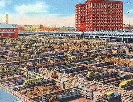 "Union Stockyards, Showing Exchange Building, Omaha, Neb."