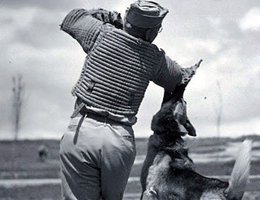 WWII K-9 training at Fort Robinson