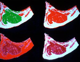 Analysis of computerized images of inch-thick ribeye steak helps predict the pounds of retail beef a carcass will yield after boning and trimming
