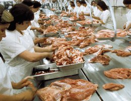 Hispanic workers in a rural U.S. meatpacking plant