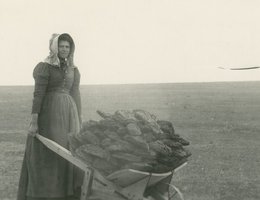 Ada and her brother Burt McColl collecting "chips" (dried manure) for fuel on the Kansas Prairie near Lakin in 1892