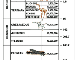 Geological time