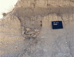 Ancient pit hearth with cobbles, seen from side