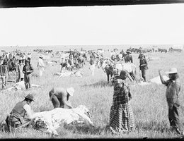 Indians butchering their beef issue, circa 1870s