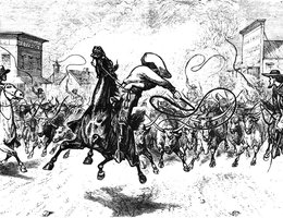 Texas Longhorns being Driven to the Cattle Rendezvous, 1878