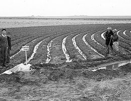 Interested farmers and curious onlookers gather near a Phelps Canal lateral northwest of Holdrege to see how flows in the laterals are controlled with stoplogs; 1940 CNPPID irrigation demonstration