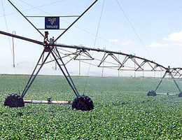 Center pivot in Nebraska