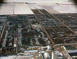 Mega Feed Lot in Nebraska