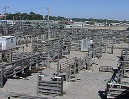 Empty Union stockyards, Omaha in the 1990s