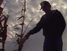 There were dark clouds hanging over agriculture during the 1970s and 80s