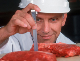 Researcher Chris Calkins inspecting a flat iron steak